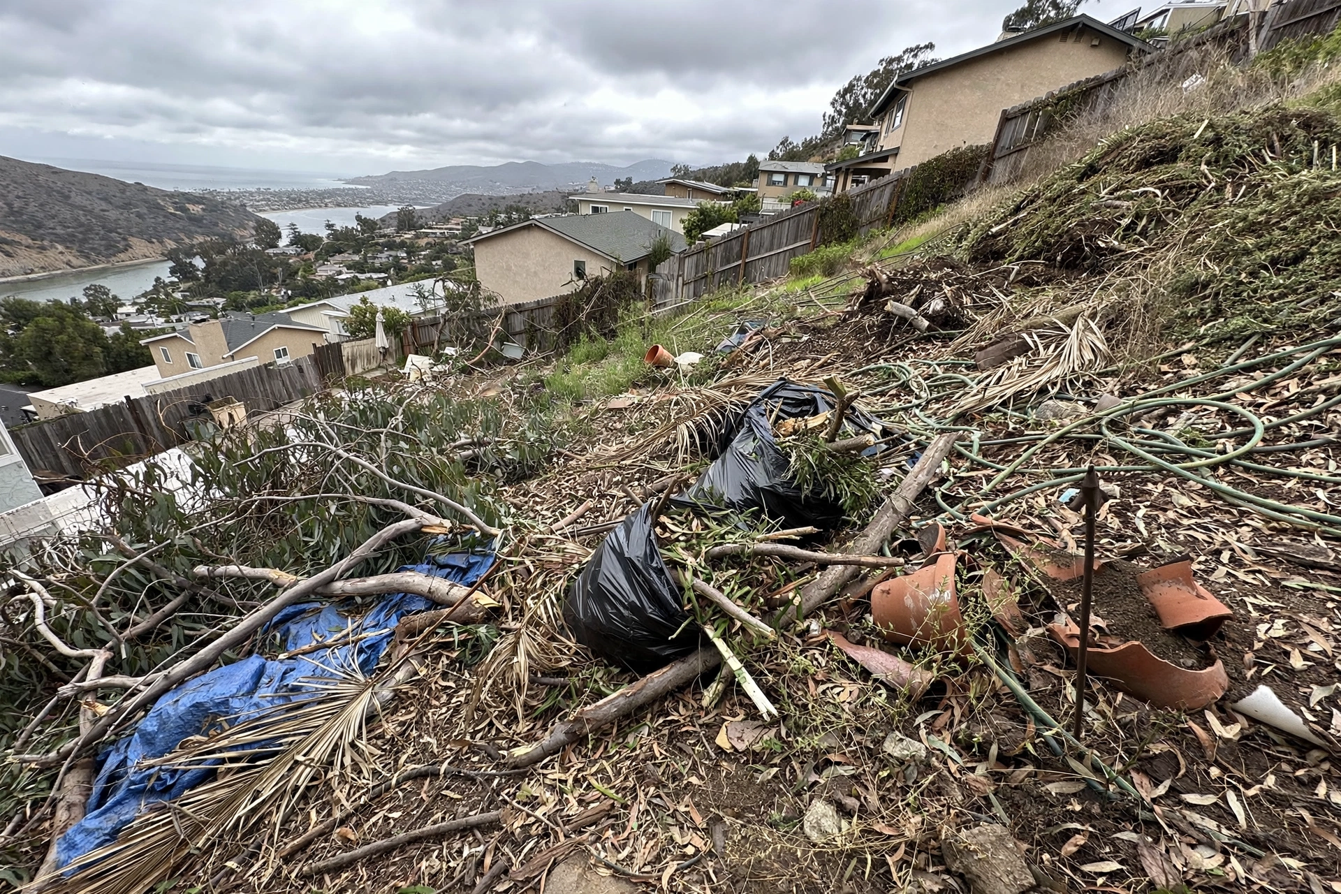 point_loma_hillside_yard